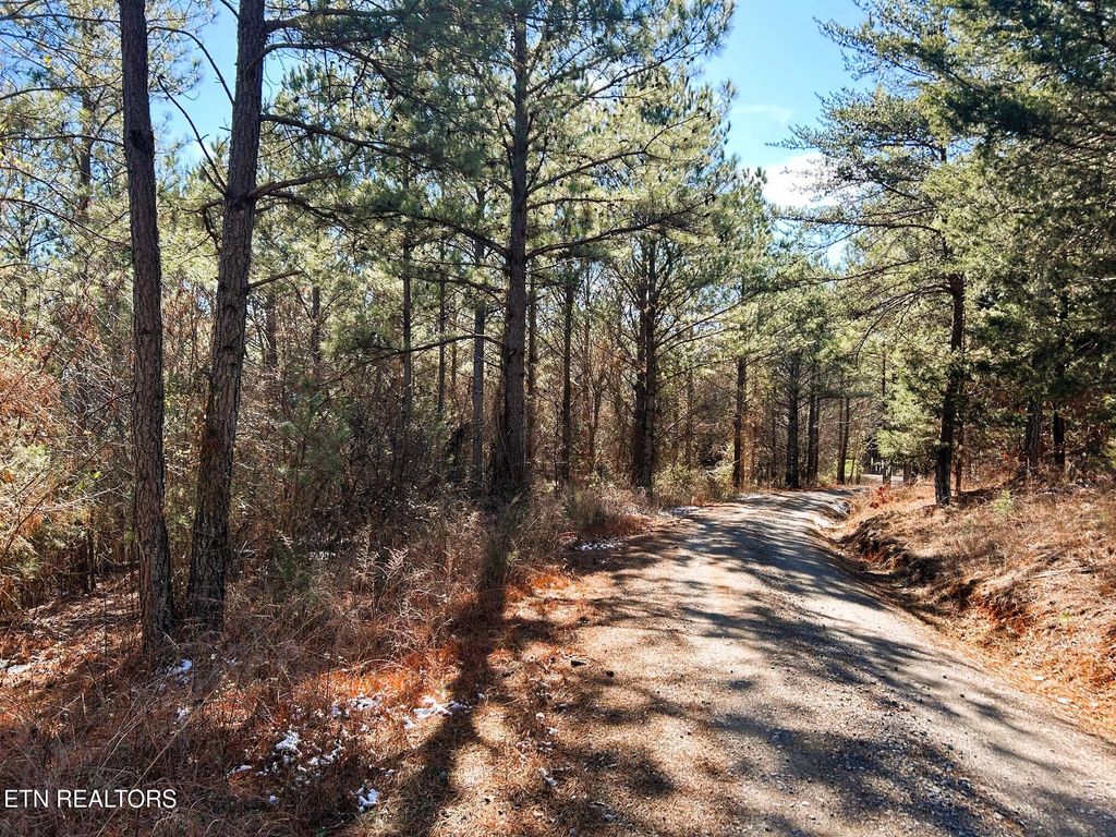 Photo of 2 Redman Ridge Lane, Decatur, TN 37322 (MLS # 1291906)