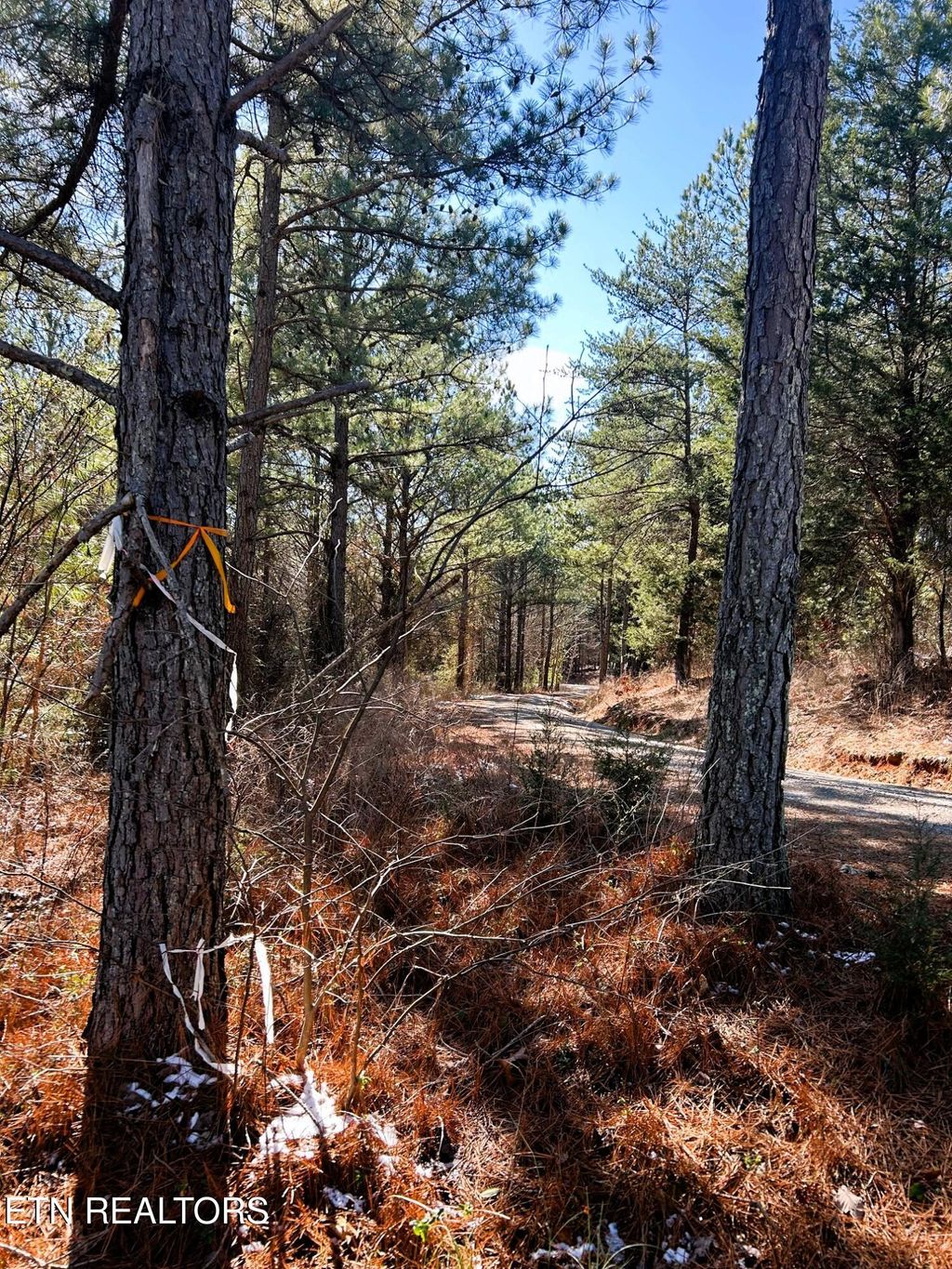 Photo of 2 Redman Ridge Lane, Decatur, TN 37322 (MLS # 1291906)