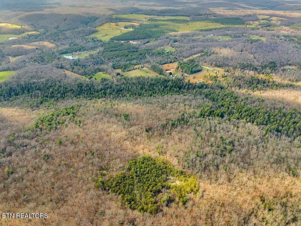 Photo of 0 Baxter Norris Rd, Crab Orchard, TN 37723 (MLS # 1342240)