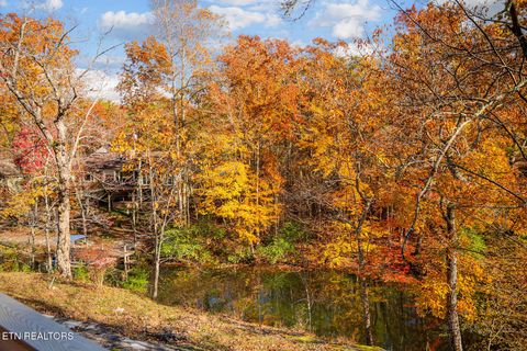 Tiny photo for 161 Ivy Brook Ln Ln, Fairfield Glade, TN 38558 (MLS # 1320695)