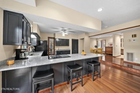 Tiny photo for 161 Ivy Brook Ln Ln, Fairfield Glade, TN 38558 (MLS # 1320695)