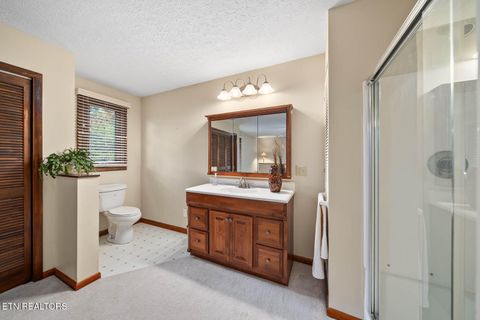 Tiny photo for 161 Ivy Brook Ln Ln, Fairfield Glade, TN 38558 (MLS # 1320695)