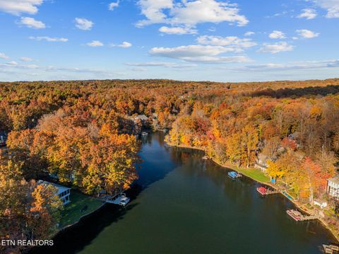 Tiny photo for 161 Ivy Brook Ln Ln, Fairfield Glade, TN 38558 (MLS # 1320695)