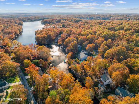 Tiny photo for 161 Ivy Brook Ln Ln, Fairfield Glade, TN 38558 (MLS # 1320695)