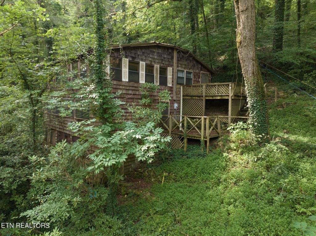 Photo of 109 Mount Luke Rd, Townsend, TN 37882 (MLS # 1271158)