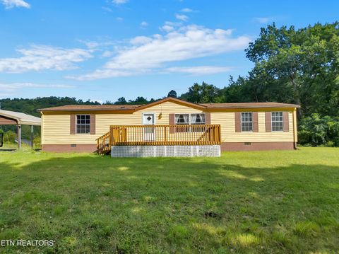 Photo of 2233 Sinking Creek Rd, Parrottsville, TN 37843 (MLS # 1316073)