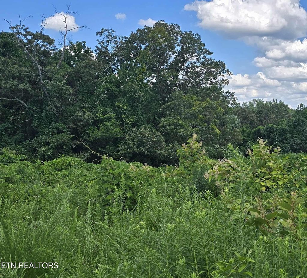Photo of 52 Paint Rock Ferry Rd, Kingston, TN 37763 (MLS # 1308530)