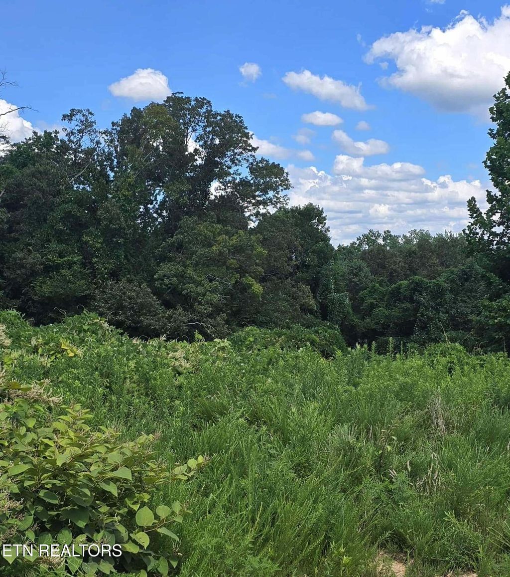 Photo of 52 Paint Rock Ferry Rd, Kingston, TN 37763 (MLS # 1308530)