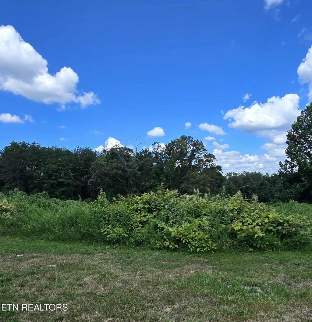 Photo of 52 Paint Rock Ferry Rd, Kingston, TN 37763 (MLS # 1308530)