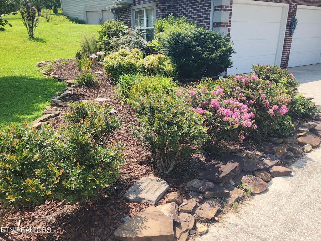 Photo of 122 Twin Oaks Drive, Rockwood, TN 37854 (MLS # 1349714)
