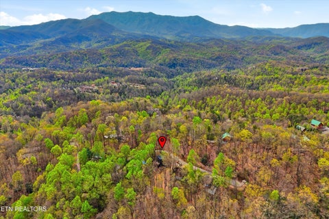 Tiny photo for 640 Carter Plaza, Gatlinburg, TN 37738 (MLS # 1360167)