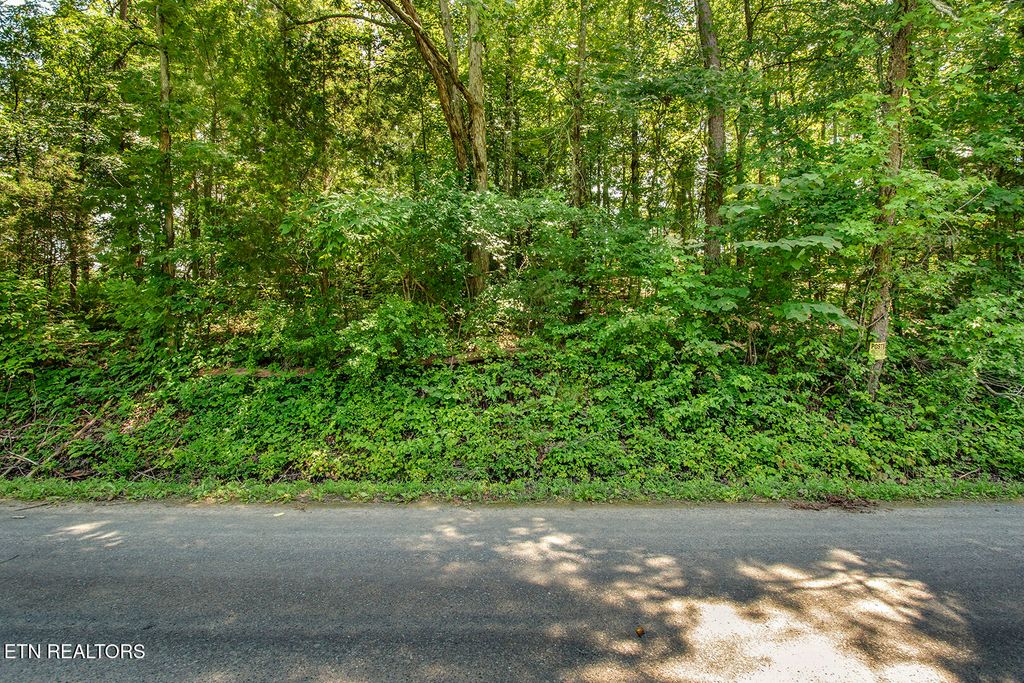 Photo of 3491 Armstrong Ferry Road Rd, Decatur, TN 37322 (MLS # 1306992)