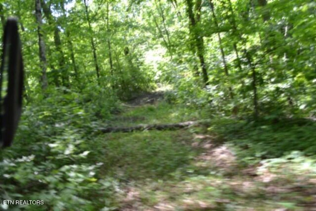 Photo of 750 Beauchamp Rd, Burkesville, KY 42717 (MLS # 1340634)