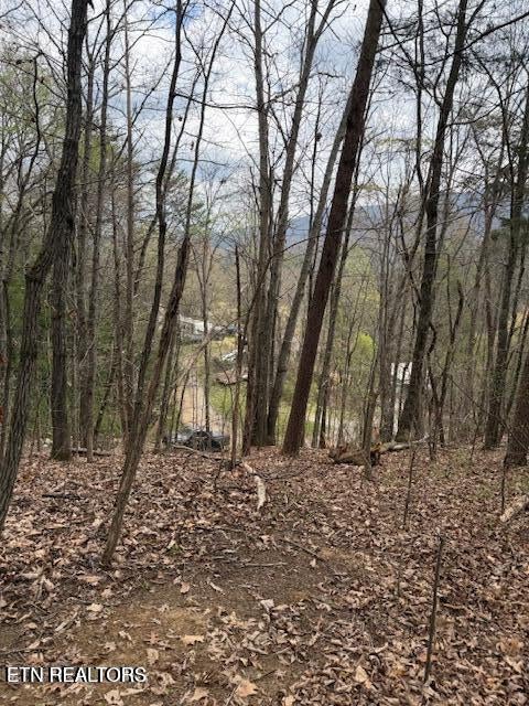 Photo of 151 Hennessy Mountain Way, Cosby, TN 37722 (MLS # 1358872)