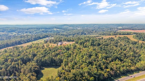 Tiny photo for 135 Canter Way Dr, Lenoir City, TN 37771 (MLS # 1359997)