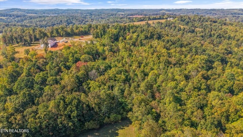 Tiny photo for 135 Canter Way Dr, Lenoir City, TN 37771 (MLS # 1359997)