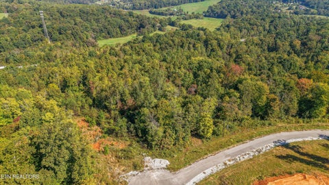 Tiny photo for 135 Canter Way Dr, Lenoir City, TN 37771 (MLS # 1359997)