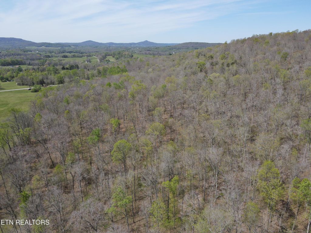 Photo of 00 N York Hwy, Pall Mall, TN 38577 (MLS # 1340564)