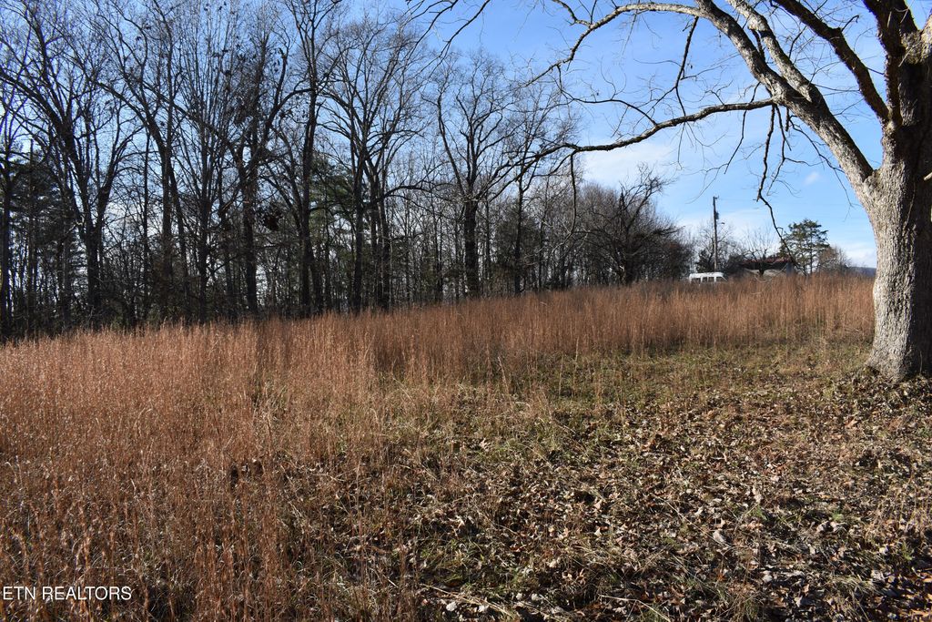 Photo of 4041 Bark Lane, Speedwell, TN 37870 (MLS # 1324596)