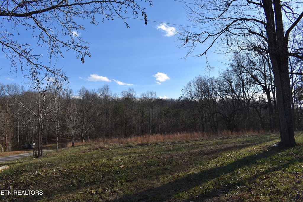 Photo of 4041 Bark Lane, Speedwell, TN 37870 (MLS # 1324596)