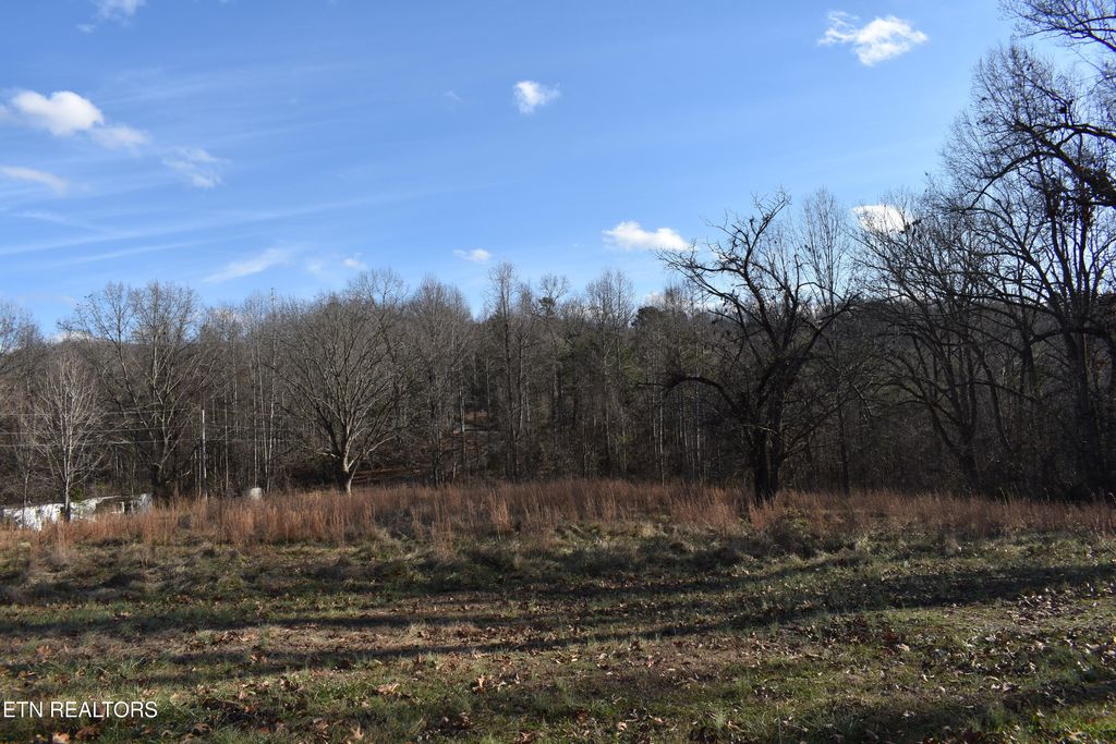 Photo of 4041 Bark Lane, Speedwell, TN 37870 (MLS # 1324596)