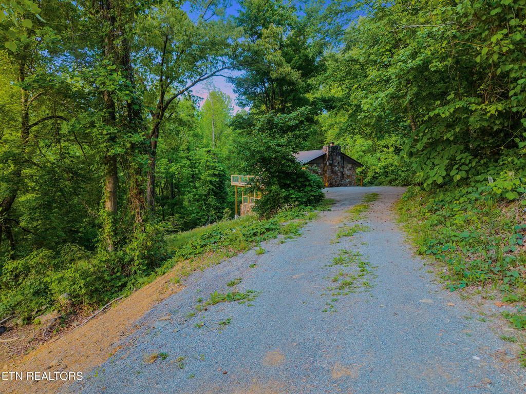 Photo of 341 Lewis Clabo Rd, Gatlinburg, TN 37738 (MLS # 1339867)