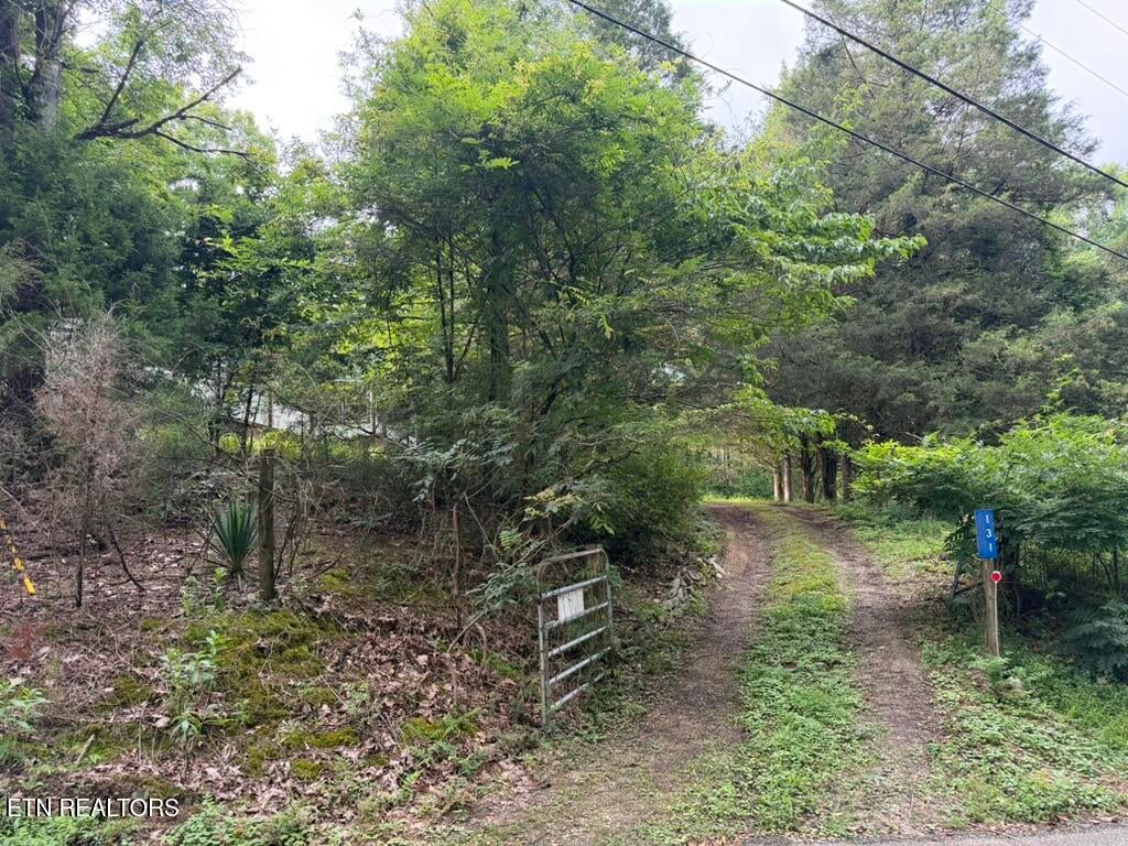Photo of 131 Williams Circle, Rockwood, TN 37854 (MLS # 1352034)