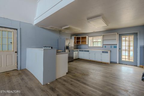 Tiny photo for 878 Little Berry Way, Del Rio, TN 37727 (MLS # 1330837)