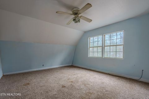 Tiny photo for 878 Little Berry Way, Del Rio, TN 37727 (MLS # 1330837)
