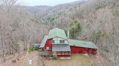 Photo of 878 Little Berry Way, Del Rio, TN 37727 (MLS # 1330837)