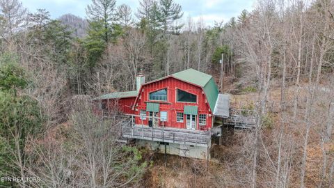 Tiny photo for 878 Little Berry Way, Del Rio, TN 37727 (MLS # 1330837)