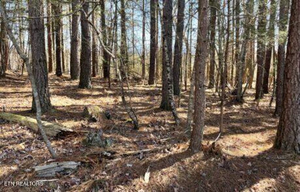 Photo of 194 Forest Ridge Lane, Greenback, TN 37742 (MLS # 1335800)