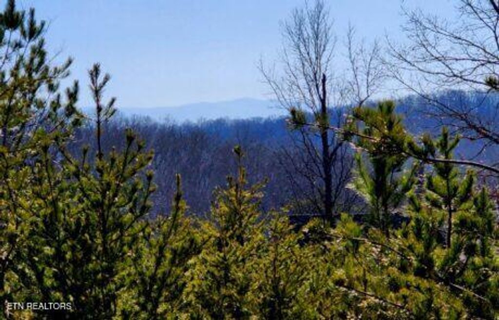 Photo of 194 Forest Ridge Lane, Greenback, TN 37742 (MLS # 1335800)