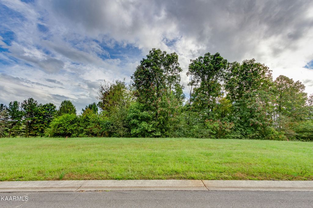 Photo of 3317 Preserve Pointe, Louisville, TN 37777 (MLS # 1217749)