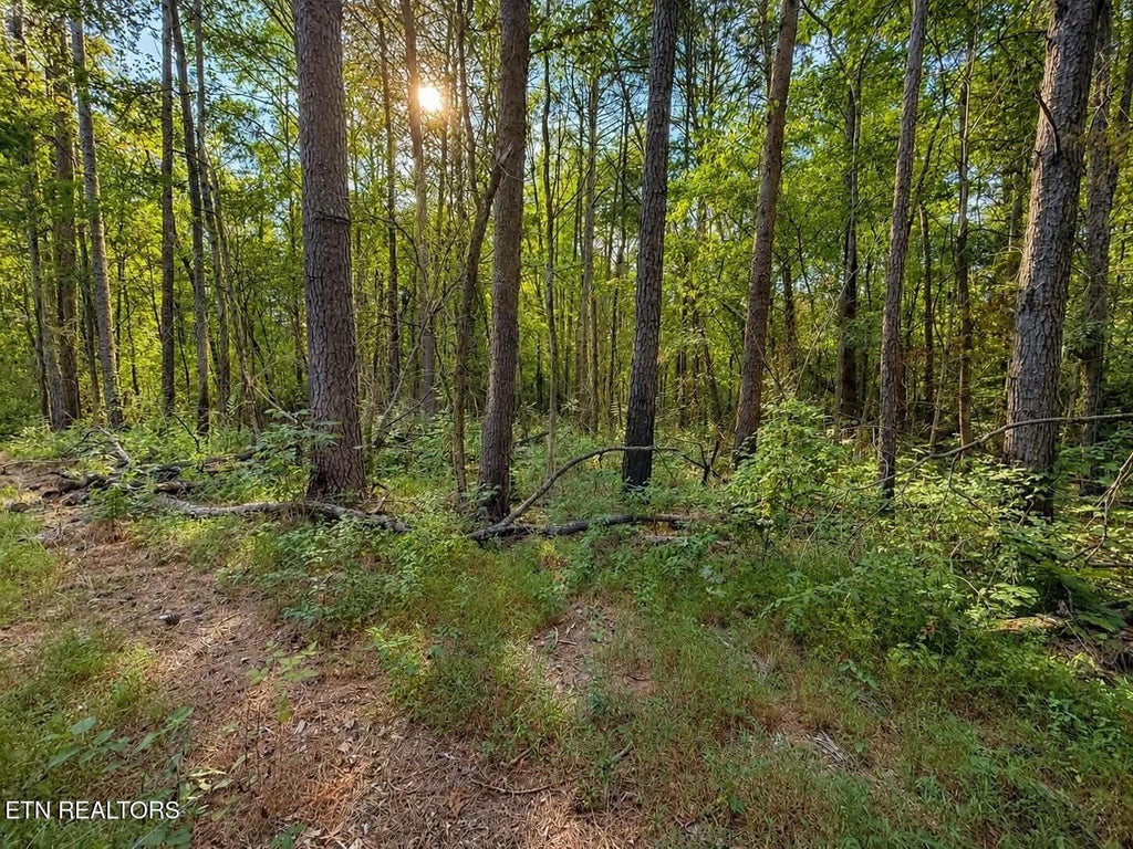 Photo of Judd Lane, Decatur, TN 37322 (MLS # 1353602)