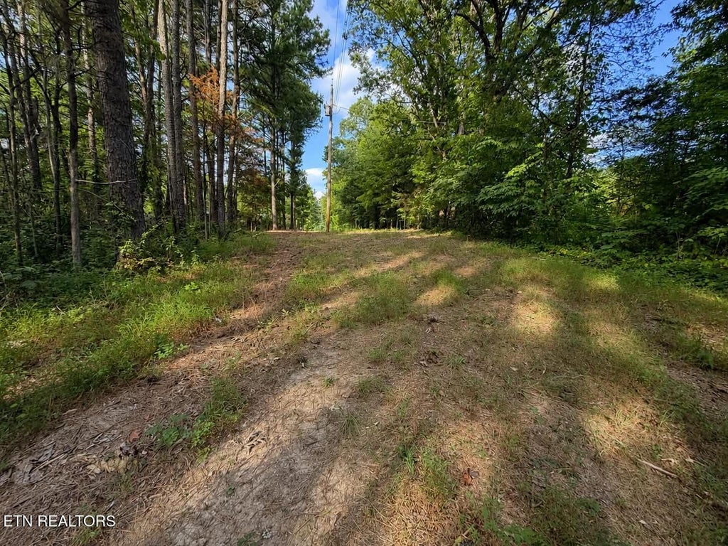Photo of Judd Lane, Decatur, TN 37322 (MLS # 1353602)