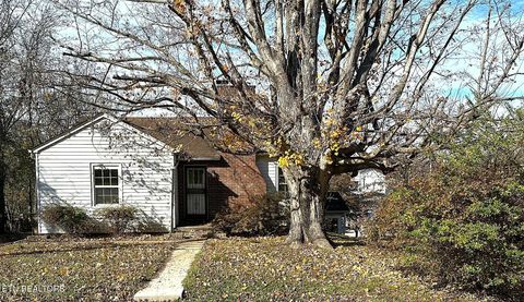 Tiny photo for 825 Gertrude Ave, Knoxville, TN 37920 (MLS # 1324601)