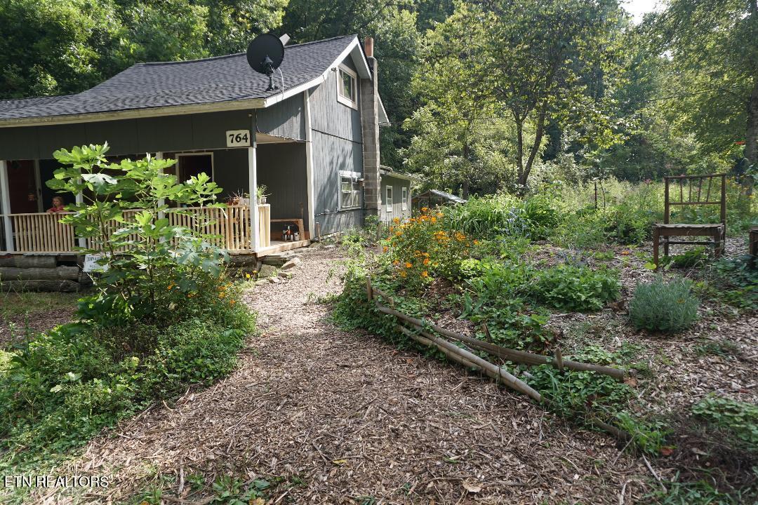 764 Mt Olive Rd
