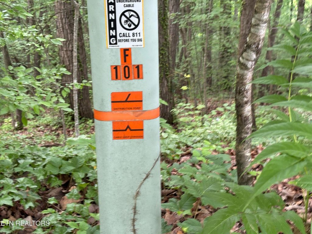 Photo of 101 Nathan Lane, Oak Ridge, TN 37830 (MLS # 1303391)