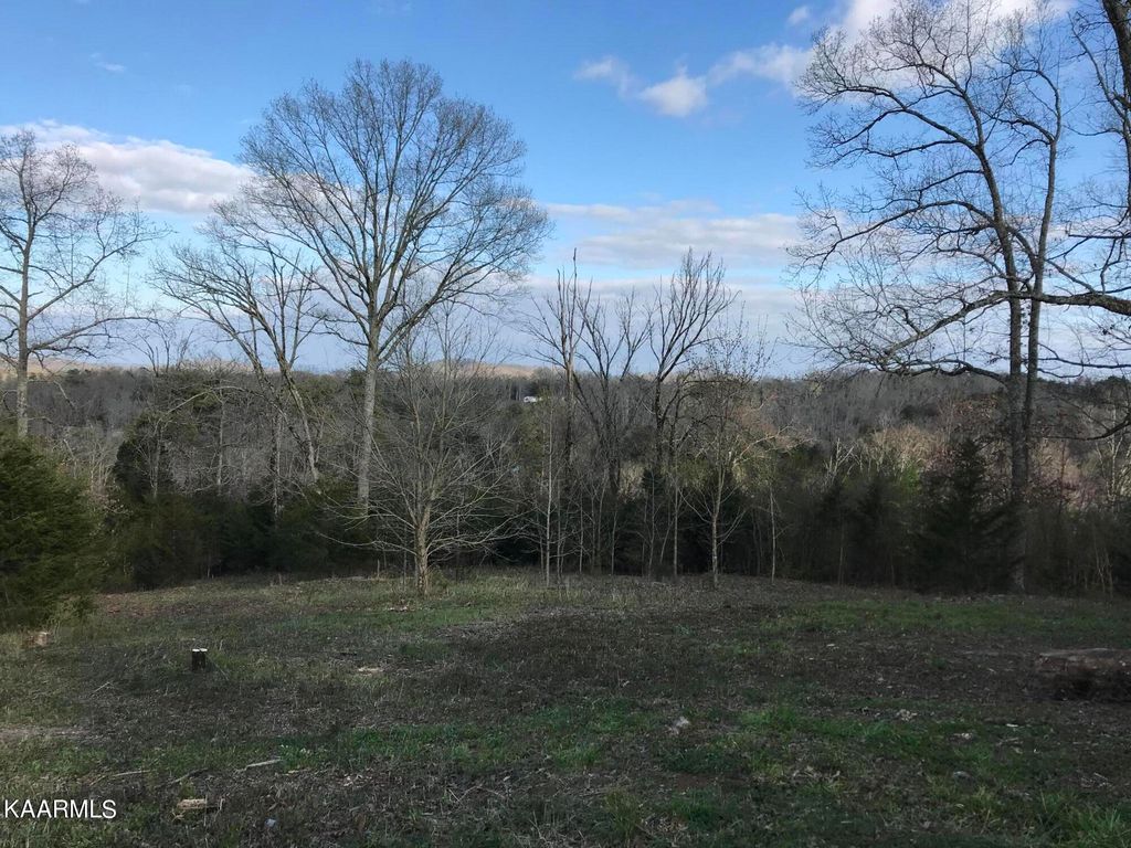 Photo of 3115 High View Drive, Louisville, TN 37777 (MLS # 1195757)