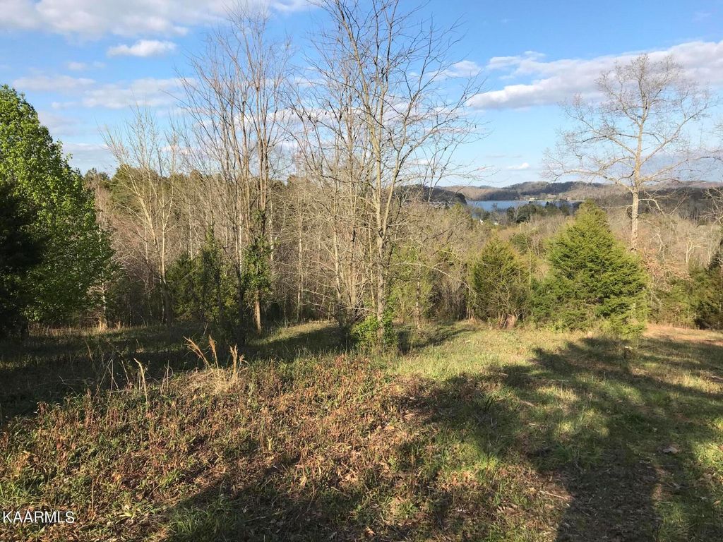 Photo of 3115 High View Drive, Louisville, TN 37777 (MLS # 1195757)