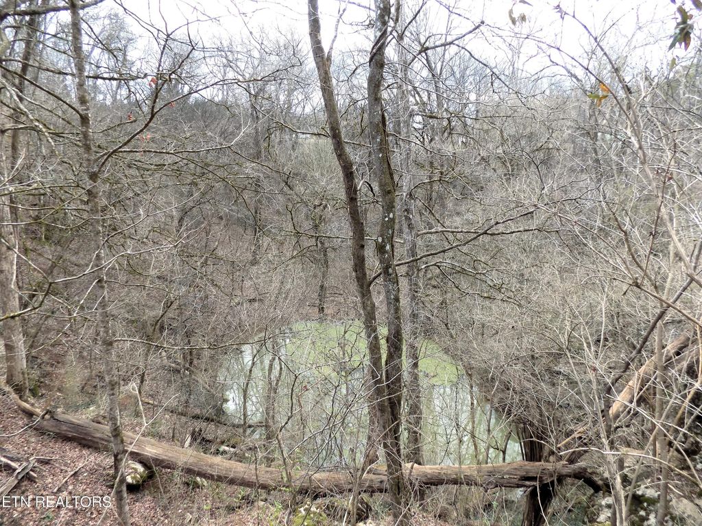 Photo of 132255 W View Drive, Strawberry Plains, TN 37871 (MLS # 1292486)