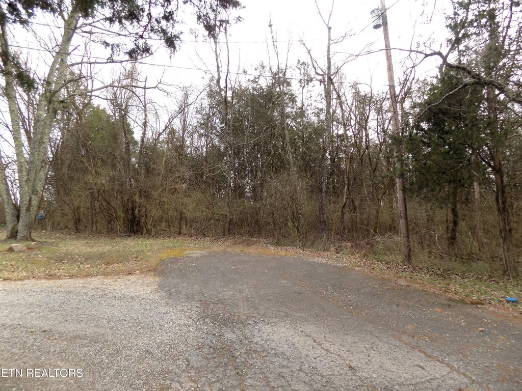 Photo of 132255 W View Drive, Strawberry Plains, TN 37871 (MLS # 1292486)