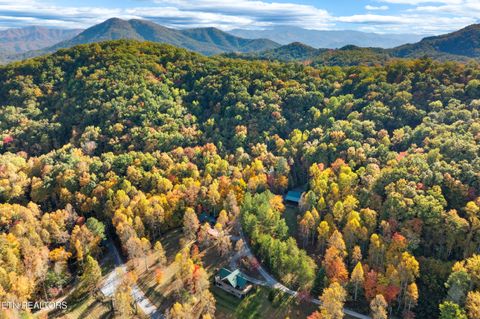 Tiny photo for 4094 Hickory Hollow Way, Sevierville, TN 37862 (MLS # 1342074)
