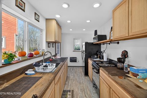 Tiny photo for 795 Pine Rd, Pikeville, TN 37367 (MLS # 1327093)