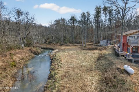 Tiny photo for 795 Pine Rd, Pikeville, TN 37367 (MLS # 1327093)