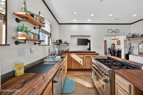 Tiny photo for 795 Pine Rd, Pikeville, TN 37367 (MLS # 1327093)