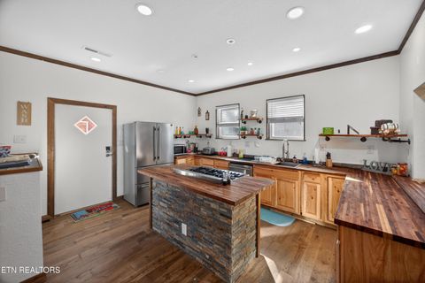 Tiny photo for 795 Pine Rd, Pikeville, TN 37367 (MLS # 1327093)