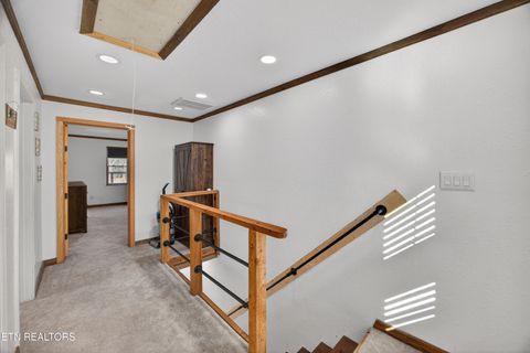 Tiny photo for 795 Pine Rd, Pikeville, TN 37367 (MLS # 1327093)