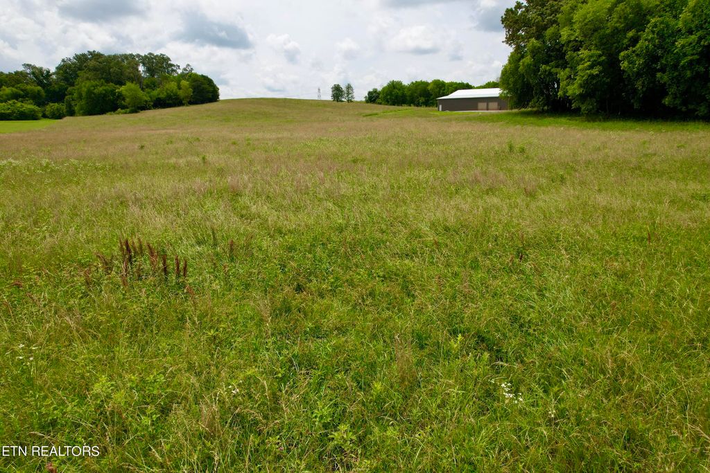 Photo of 971 Frogpond Rd, Friendsville, TN 37737 (MLS # 1265383)